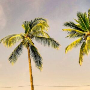 crestview charming hotels usa
